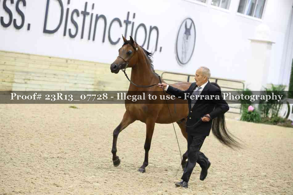 Proof 23R13_07728