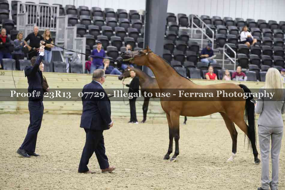 Proof 23R13_07729