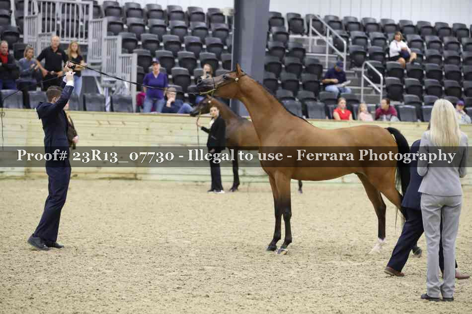 Proof 23R13_07730