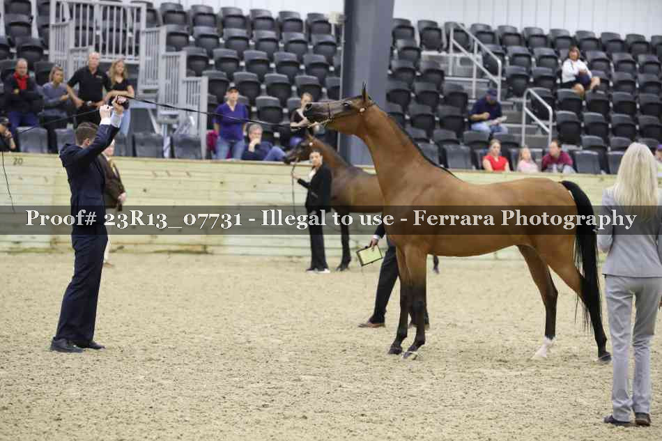 Proof 23R13_07731