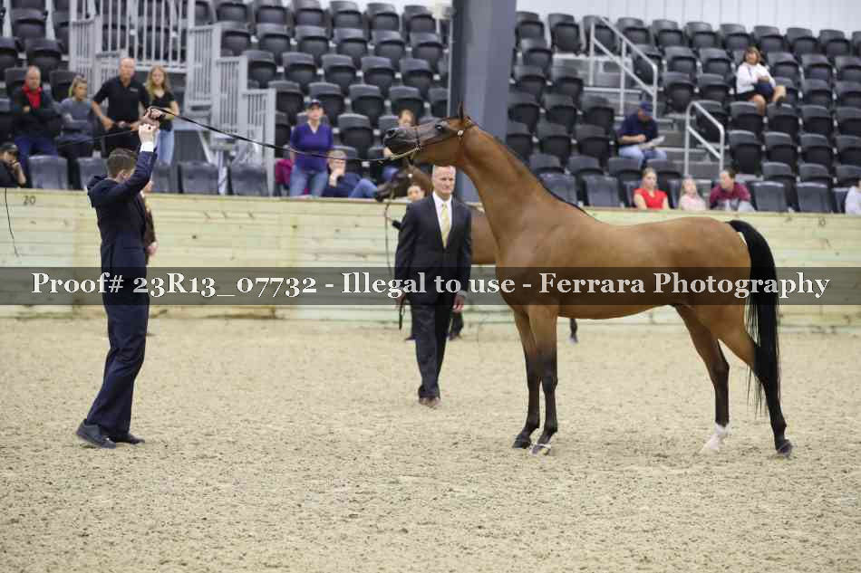 Proof 23R13_07732
