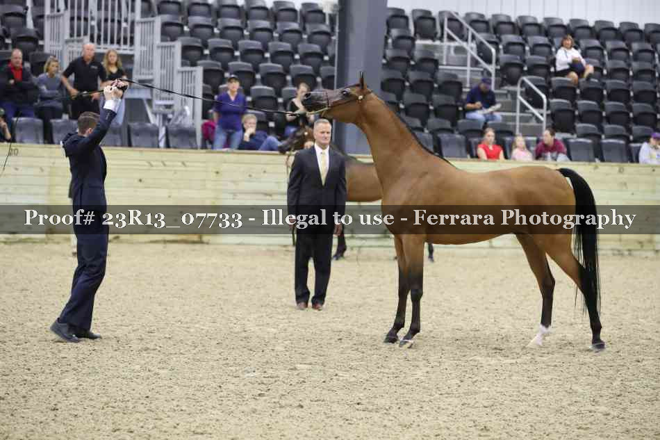 Proof 23R13_07733