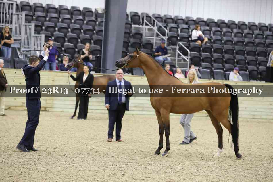 Proof 23R13_07734