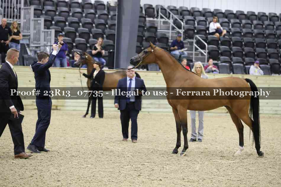 Proof 23R13_07735