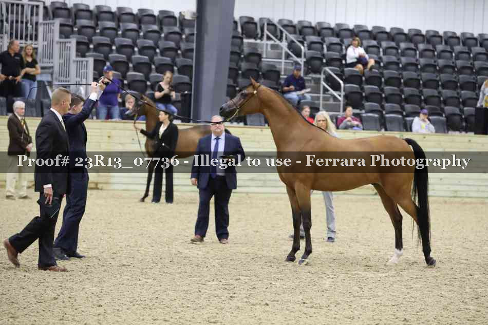 Proof 23R13_07736