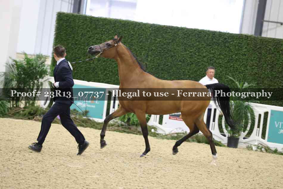 Proof 23R13_07737