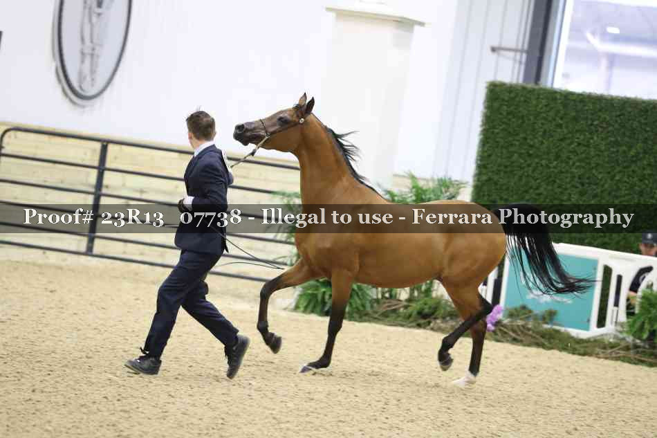Proof 23R13_07738