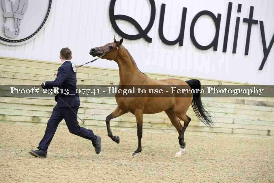 Proof 23R13_07741