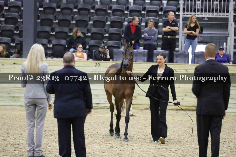 Proof 23R13_07742