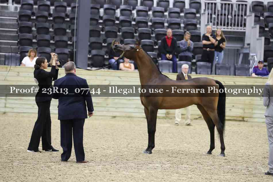 Proof 23R13_07744