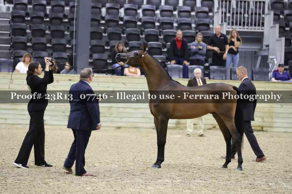 Proof 23R13_07746