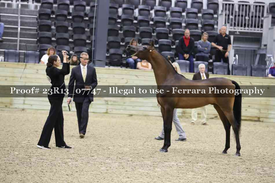 Proof 23R13_07747