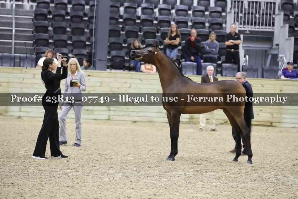 Proof 23R13_07749
