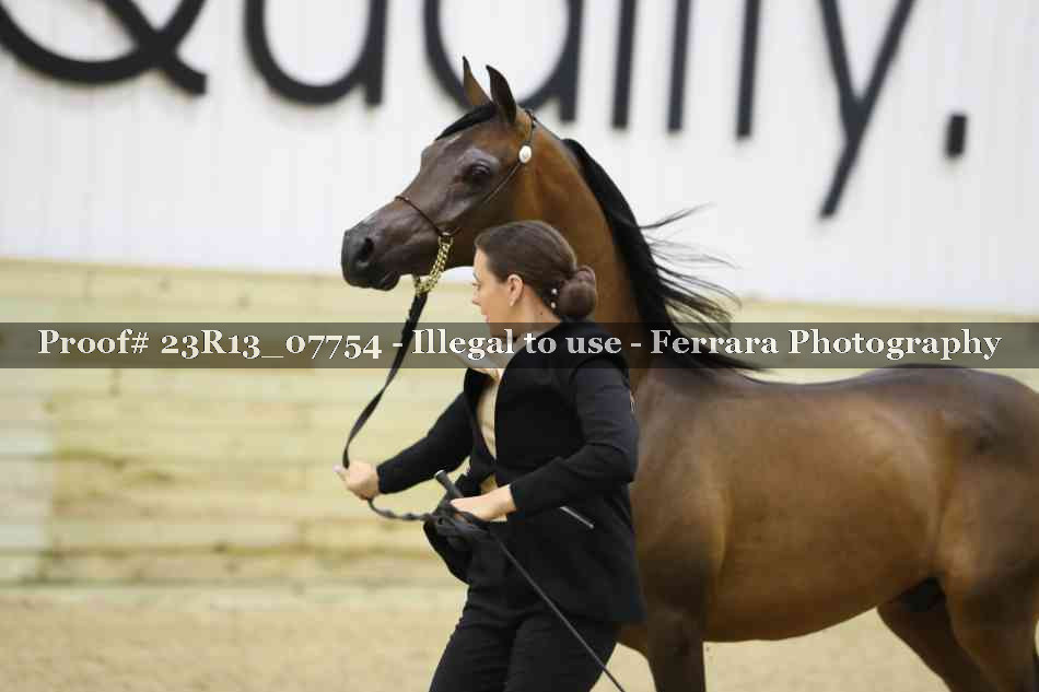 Proof 23R13_07754