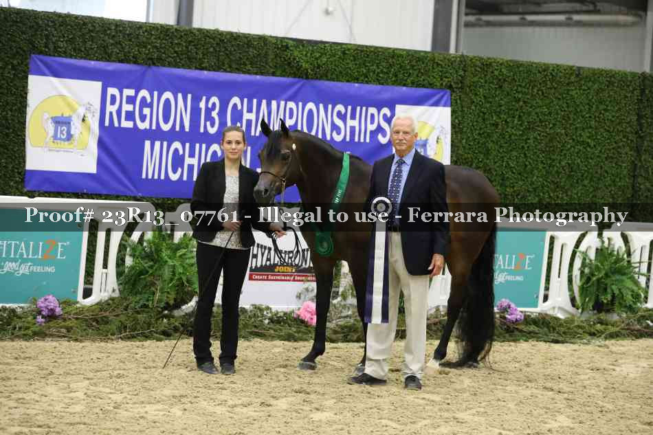 Proof 23R13_07761