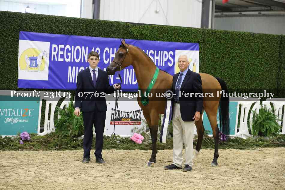 Proof 23R13_07762