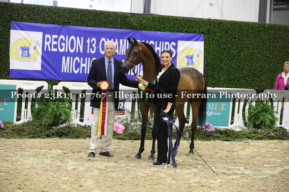 Proof 23R13_07767