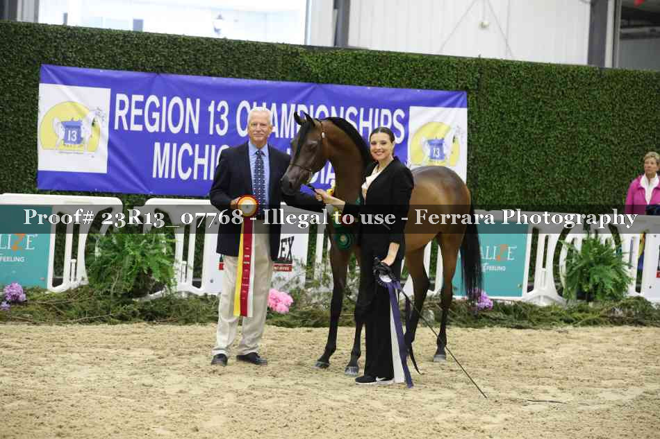 Proof 23R13_07768