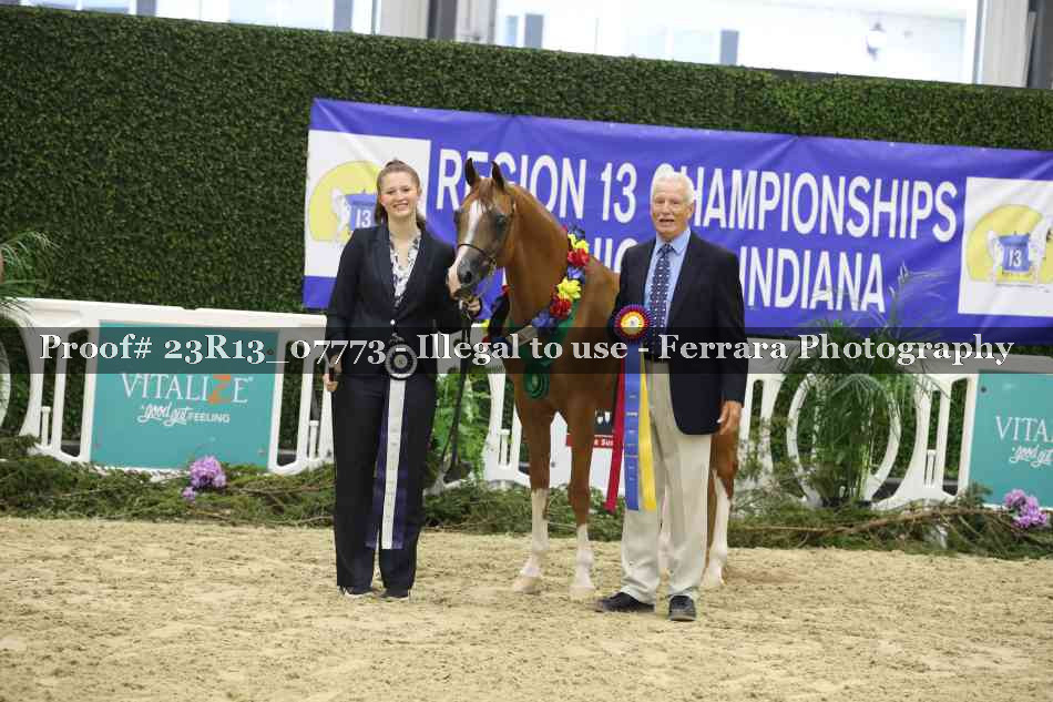 Proof 23R13_07773