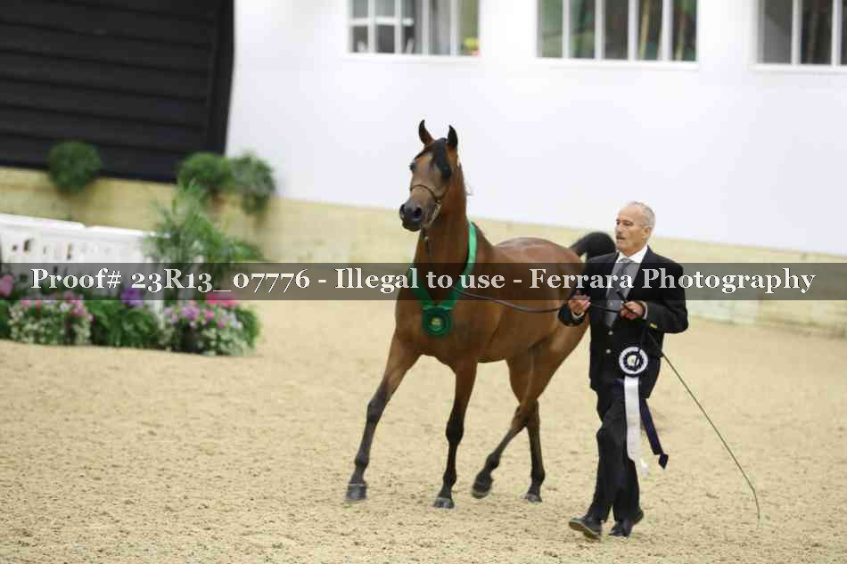 Proof 23R13_07776