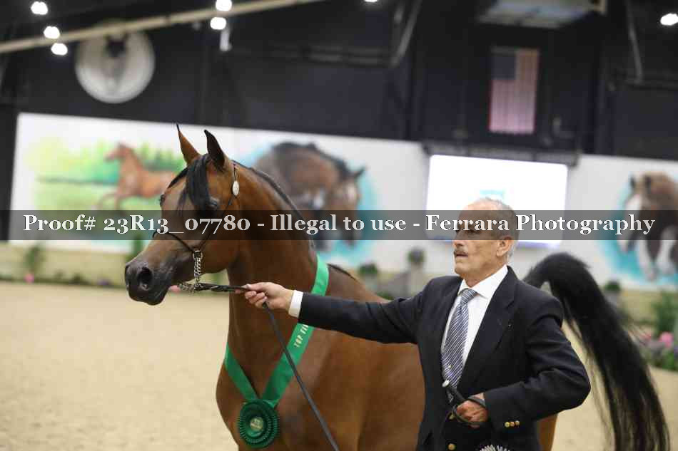 Proof 23R13_07780