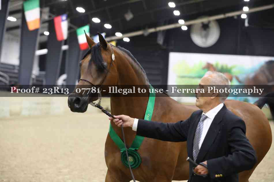 Proof 23R13_07781