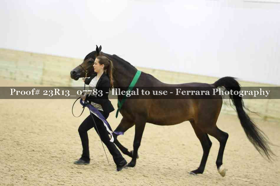 Proof 23R13_07783