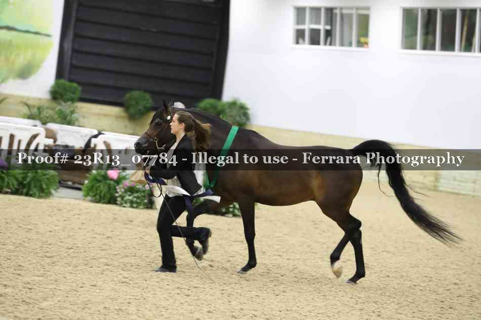 Proof 23R13_07784