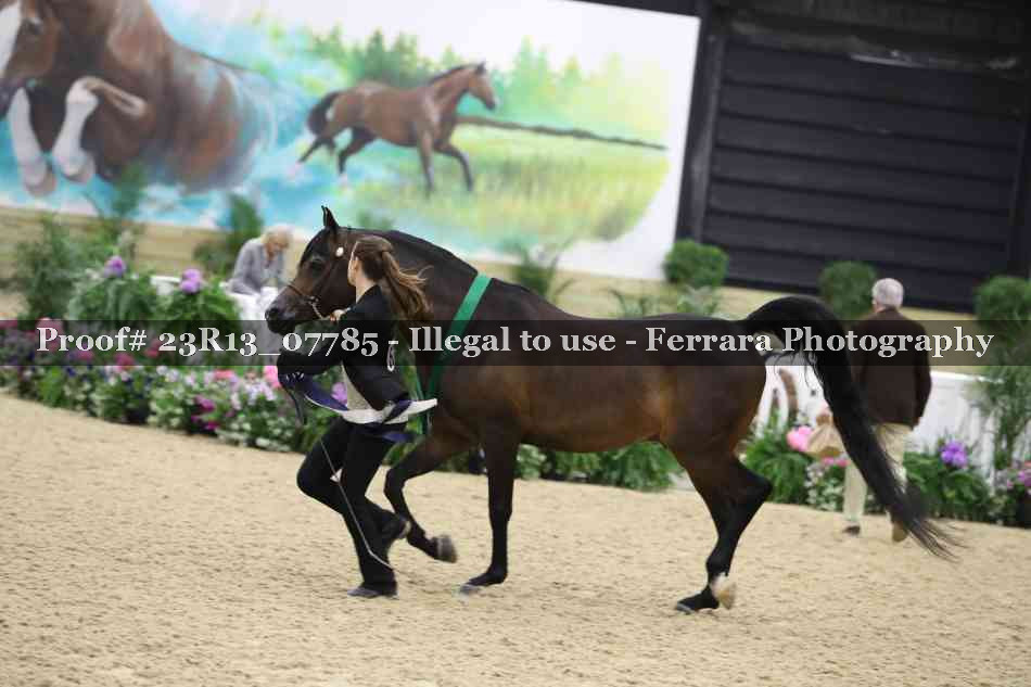 Proof 23R13_07785