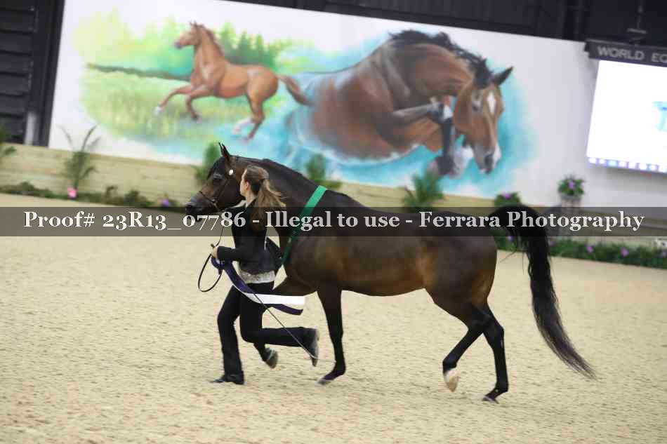 Proof 23R13_07786