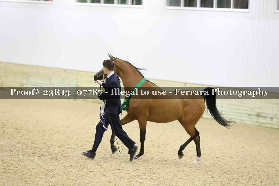Proof 23R13_07787