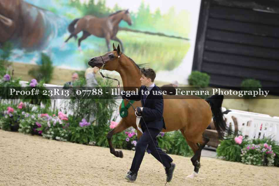Proof 23R13_07788