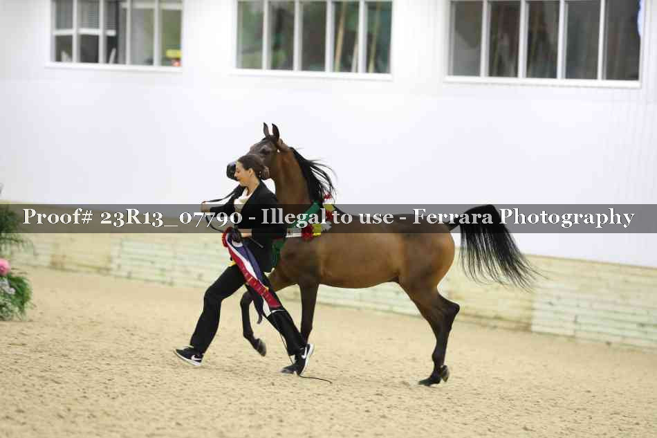 Proof 23R13_07790