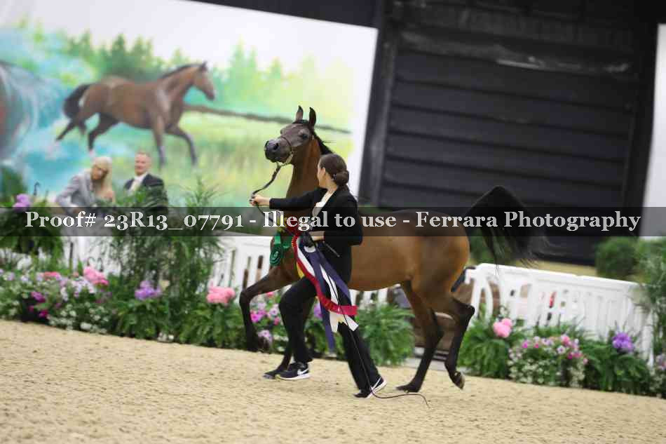 Proof 23R13_07791