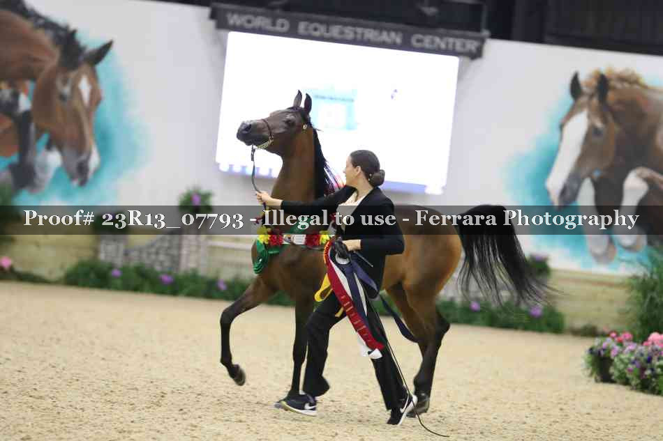 Proof 23R13_07793