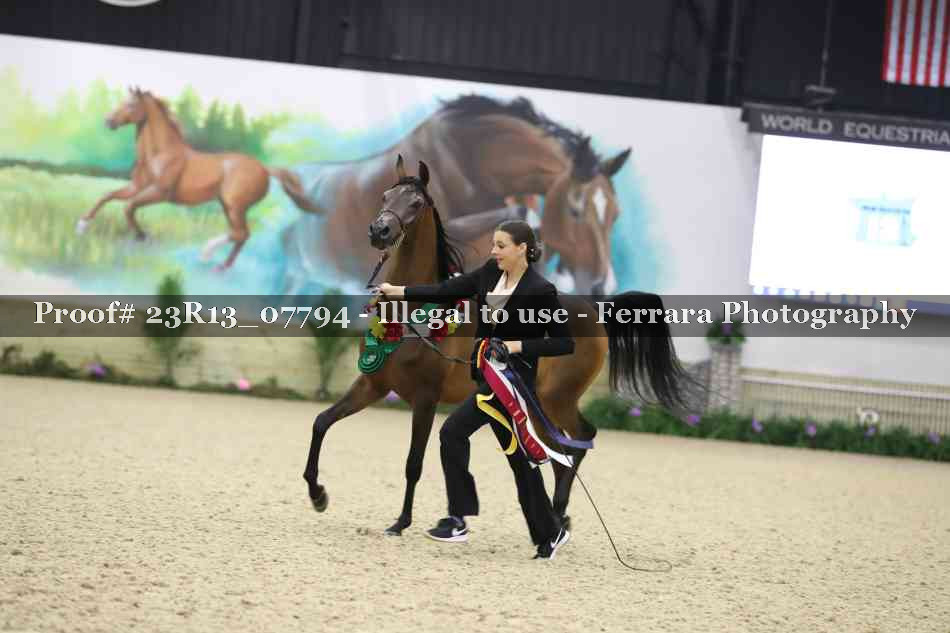 Proof 23R13_07794