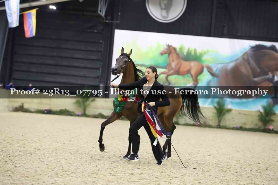 Proof 23R13_07795