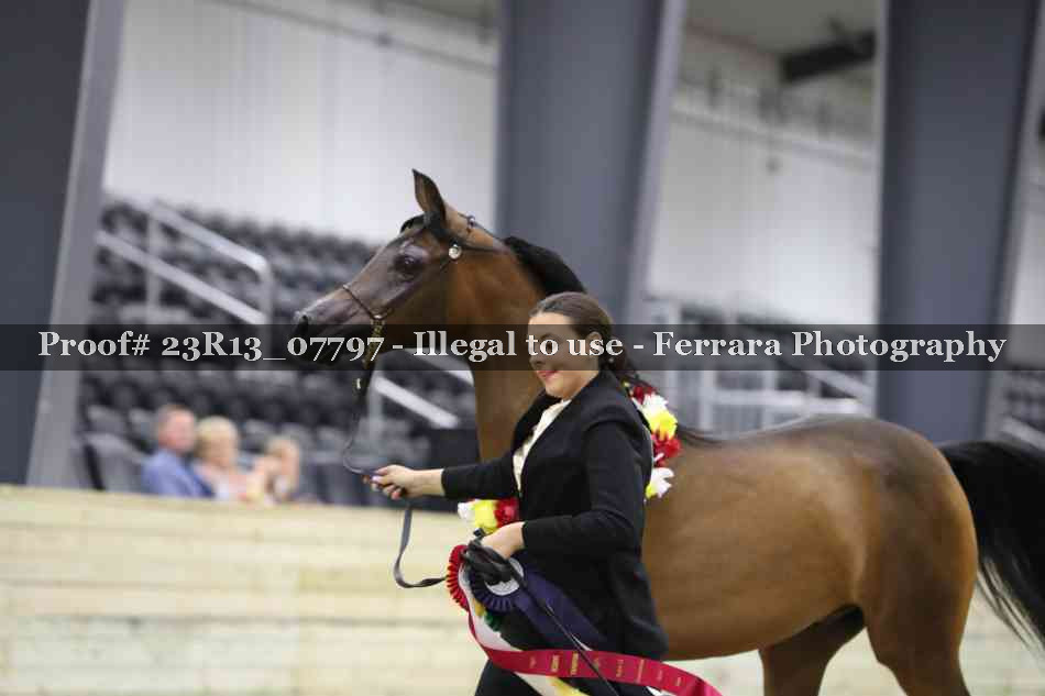 Proof 23R13_07797