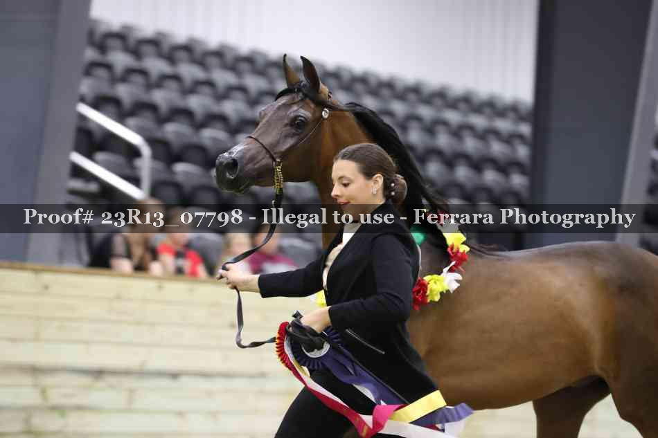 Proof 23R13_07798