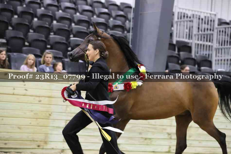 Proof 23R13_07799