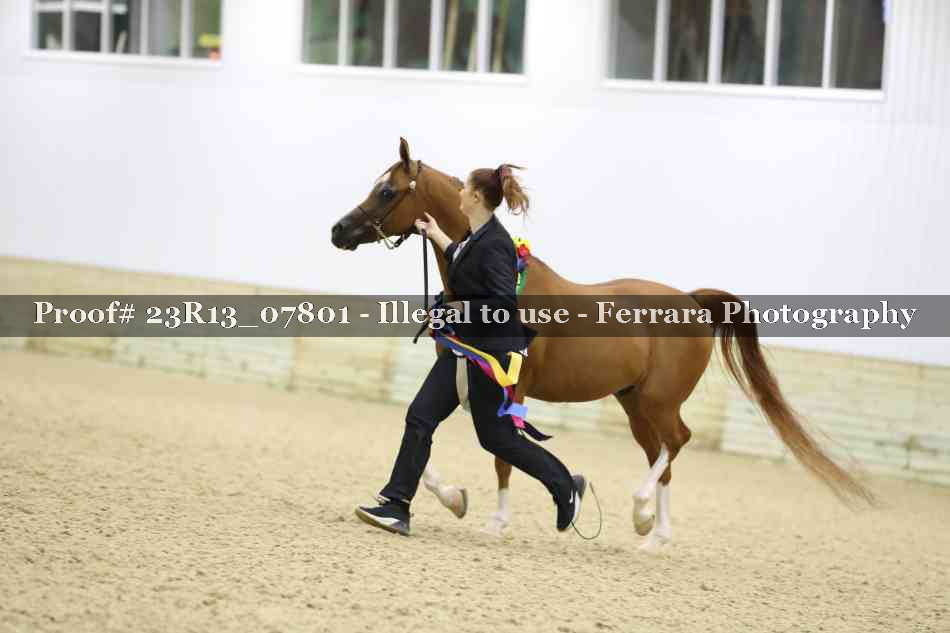 Proof 23R13_07801