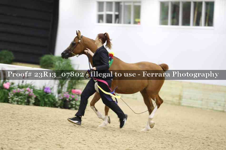 Proof 23R13_07802