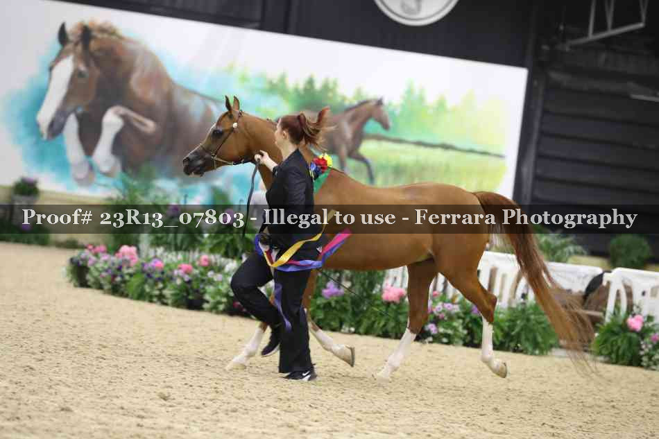 Proof 23R13_07803