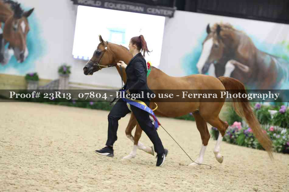Proof 23R13_07804