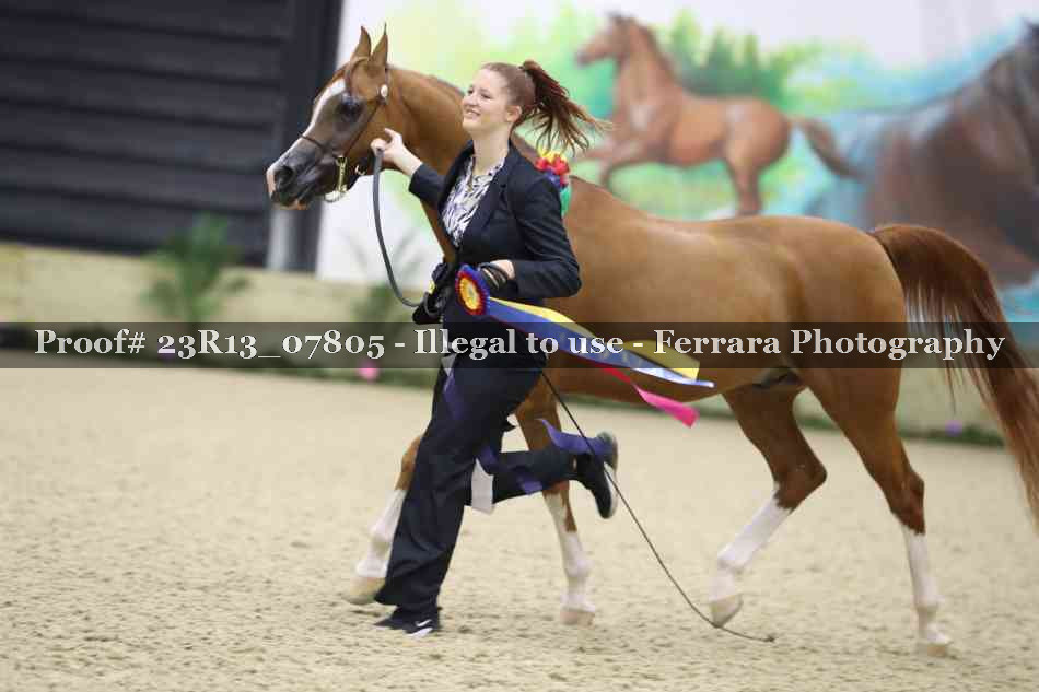 Proof 23R13_07805