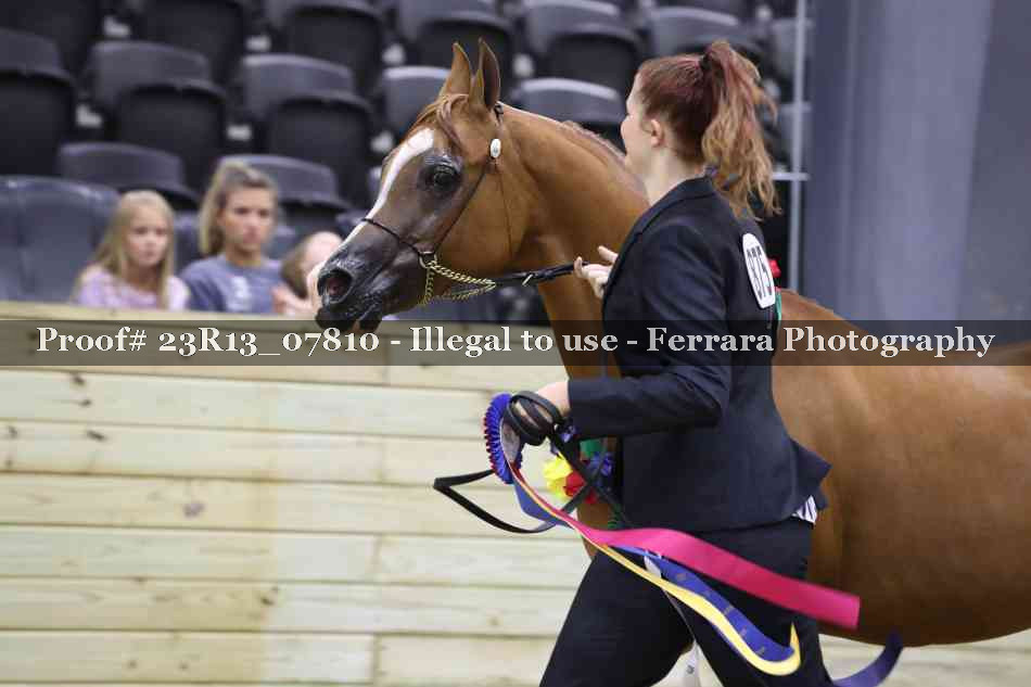 Proof 23R13_07810