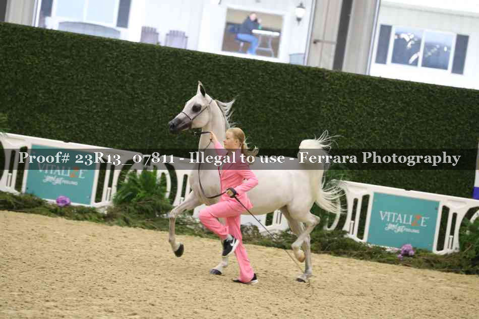 Proof 23R13_07811