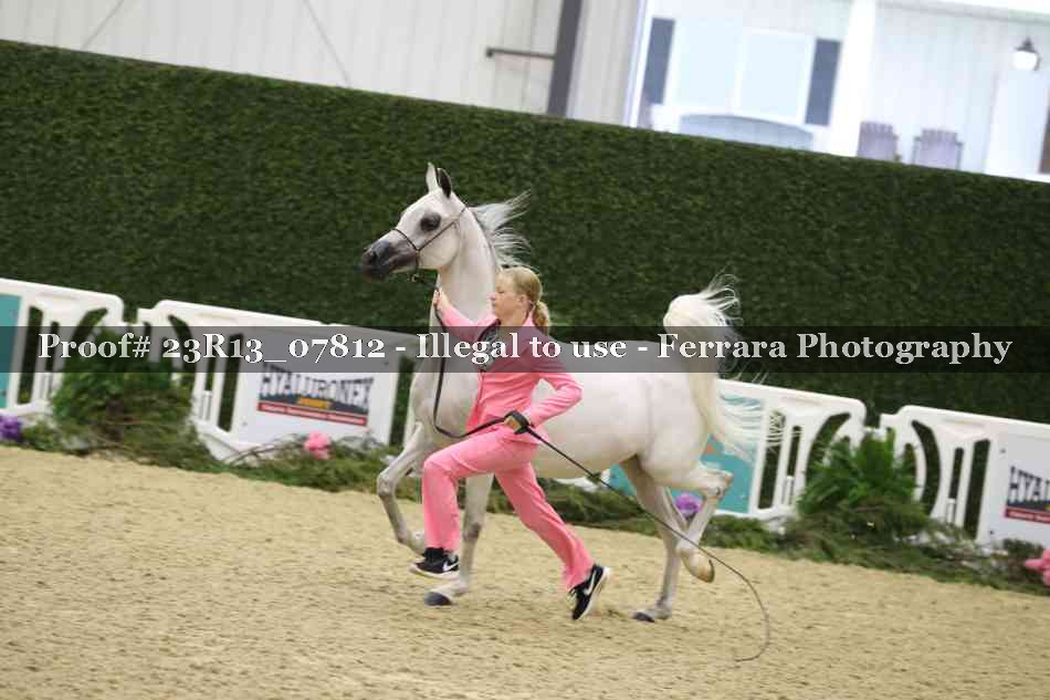 Proof 23R13_07812