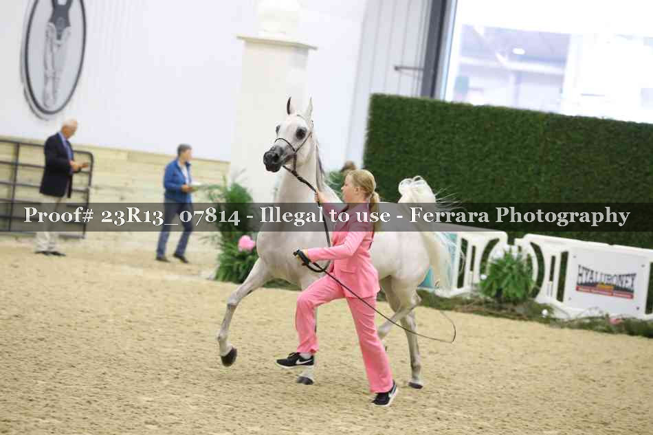 Proof 23R13_07814