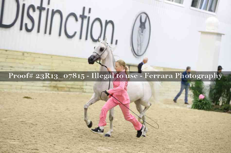 Proof 23R13_07815